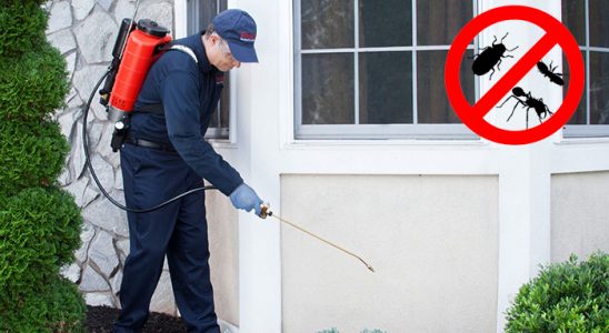 Çağlayancerit Karınca İlaçlama böcek ilaçlama ve haşere kontrolü — ilaclama-tr.com